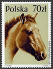 Avatar de caballo01