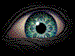 Avatar de KABVTOO