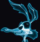 Avatar de jjiron