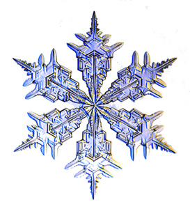 snowflake_.jpg
