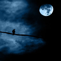 250px-Noche_de_luna_llena_-_Full_moon_night.jpg