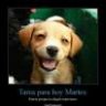 Manuel.01