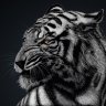 Dent22