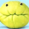 carechayote