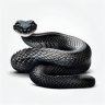 blak mamba