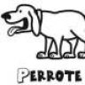 perrote123