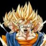vegetto