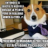 Rookie Lawyer