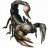 JCSkorpion