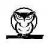 the_owl