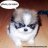 Doguie
