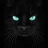 BlackCat75