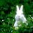 EL_Conejo