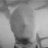 slender25