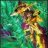 Dragon23