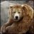 _Pedobear_