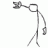 Phawker
