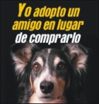 Avatar de J Humberto