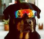 Avatar de Badilla92