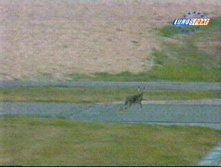 tAF3pS2.gif