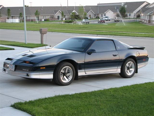 TransAm1985.jpg