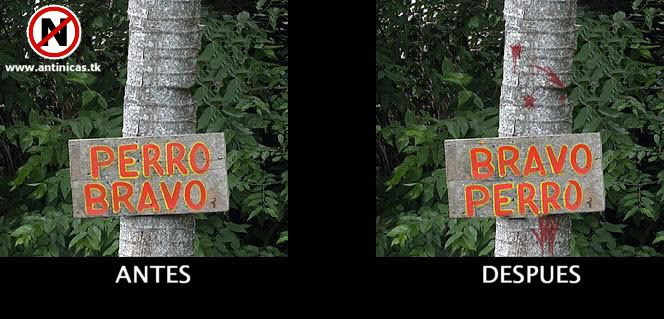 Perro_bravo.jpg