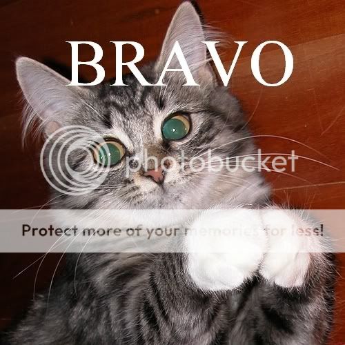 BRAVO.jpg