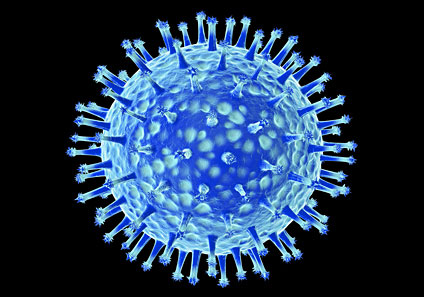 20071003233026-virus-gripe2.jpg