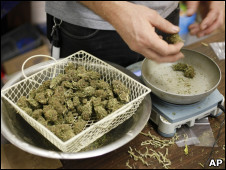 100718173342_marihuana_226x170_ap.jpg