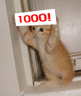 1000anim.gif