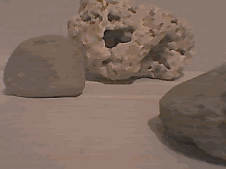BobEsponjaVsArenitaVsWolverine-1.gif