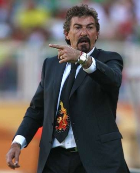 lavolpe.jpg