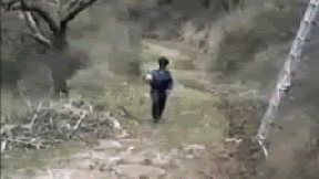 qq.gif