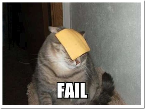fail-cat-paper%5B2%5D.jpg