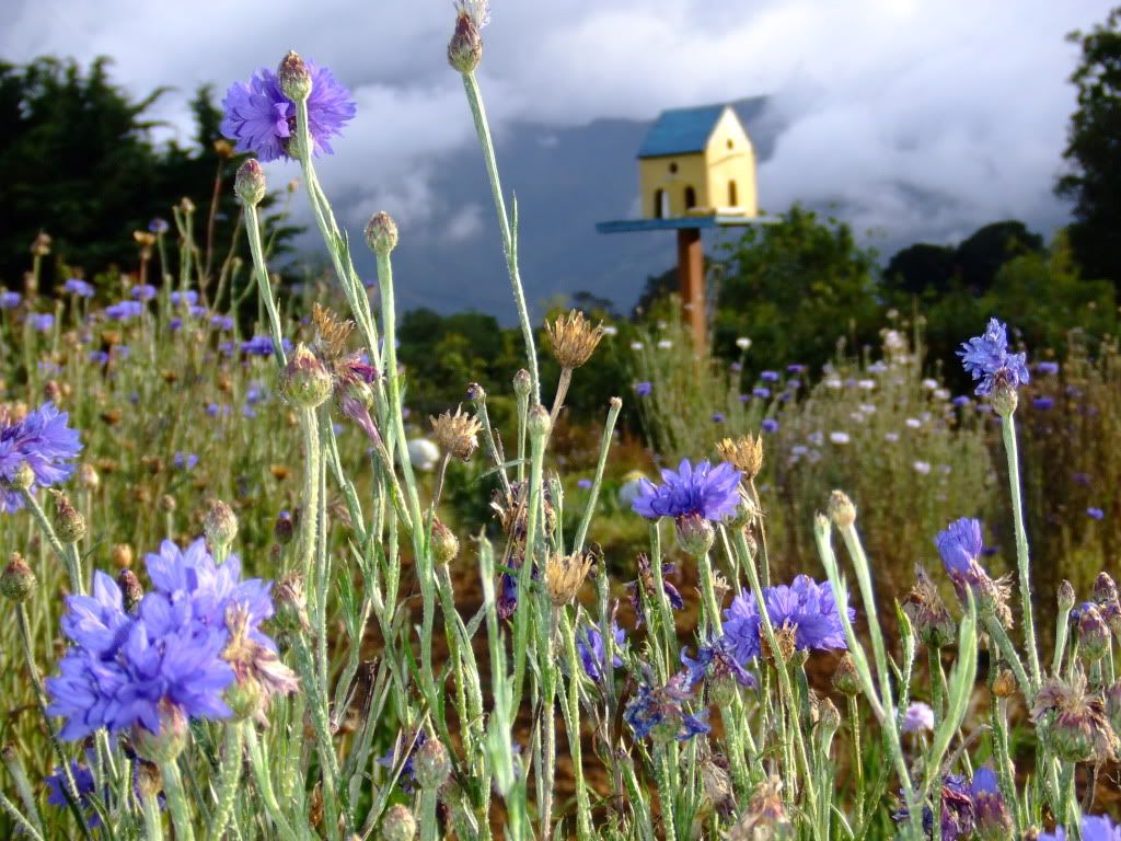 2009_1227DIC0132.jpg