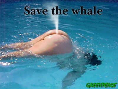 ballena9ng1.jpg