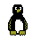 48animales-plantas.gif