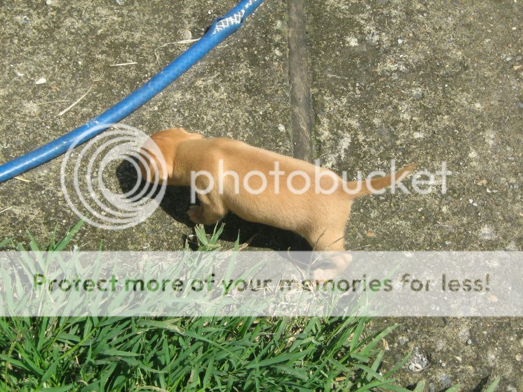 IMG_2192.jpg