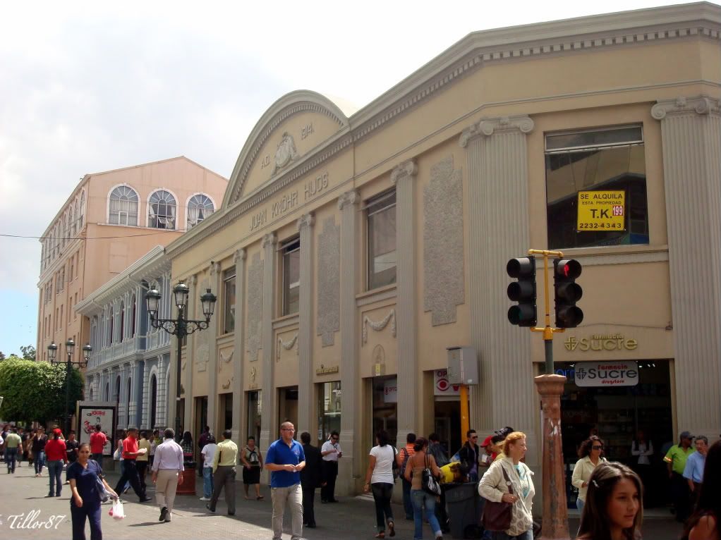 DSC04705.jpg