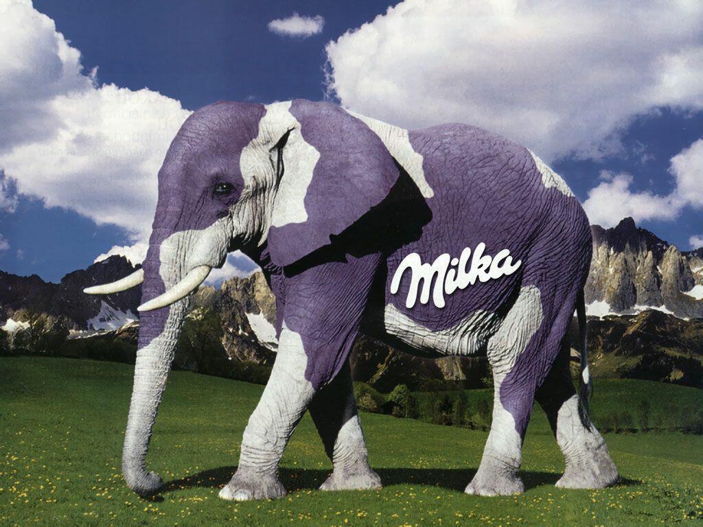 milka-elefante.jpg