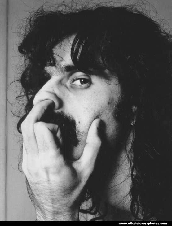 zappa-722325.jpg