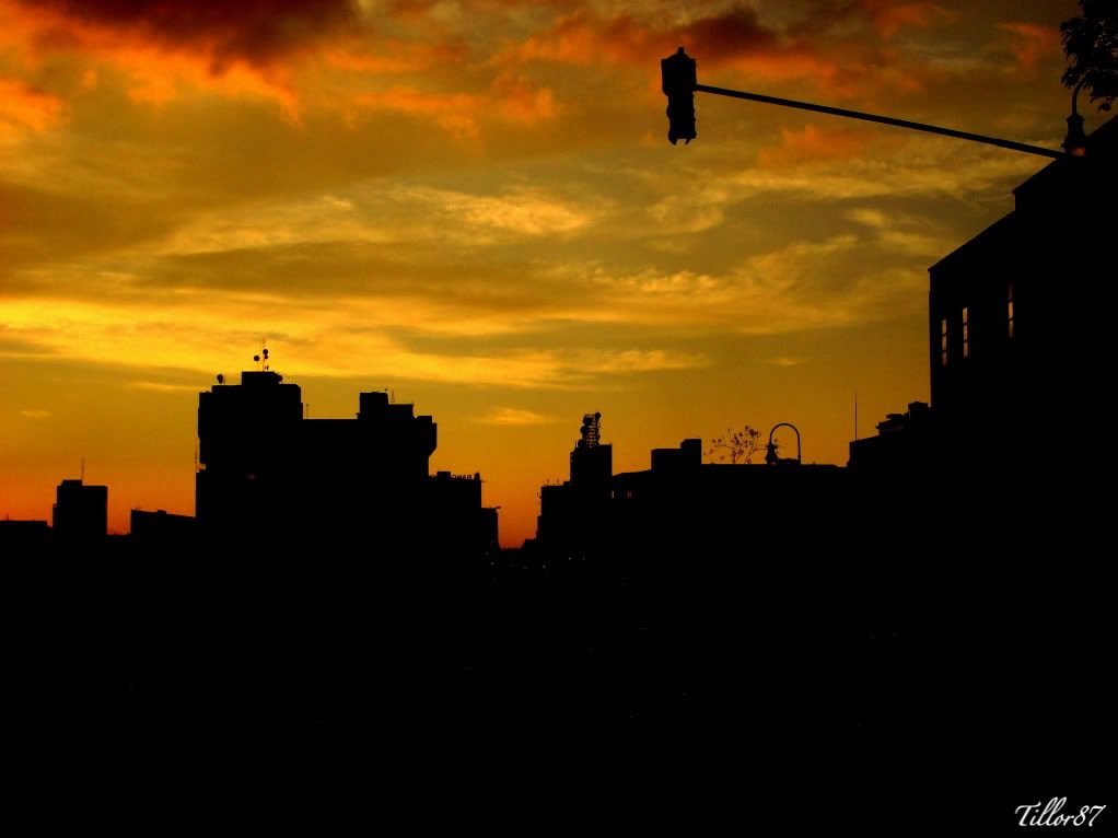 DSC04685.jpg