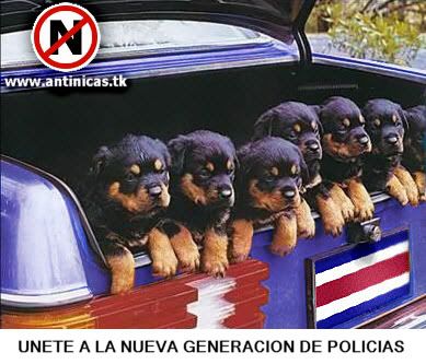 poli.jpg