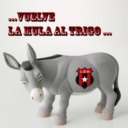 mula01.jpg