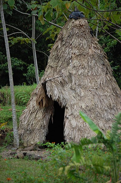 398px-Maleku-hut.JPG