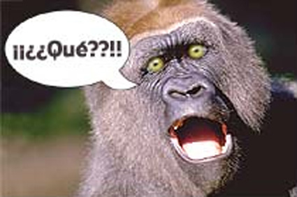 010316_m_chimpance%5B1%5D.jpg