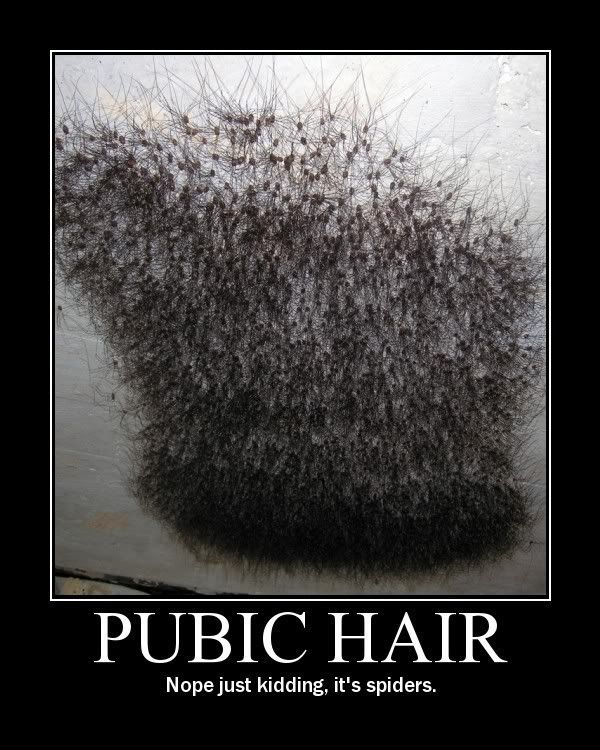 pubichair.jpg