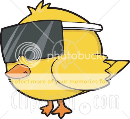 chick.jpg