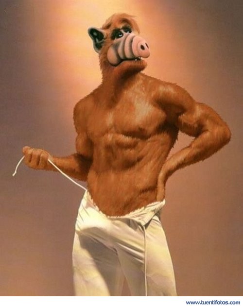 jthz3qpj8o0pc97t7u4aae5d7e5f862_alf-gay.jpg