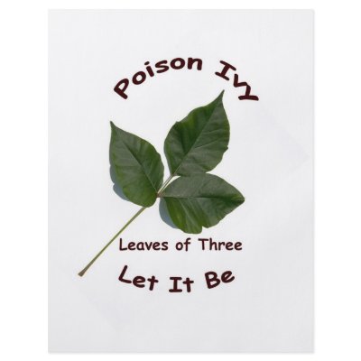 poison_ivy_flyer-p2440242812016146462mcvz_400.jpg
